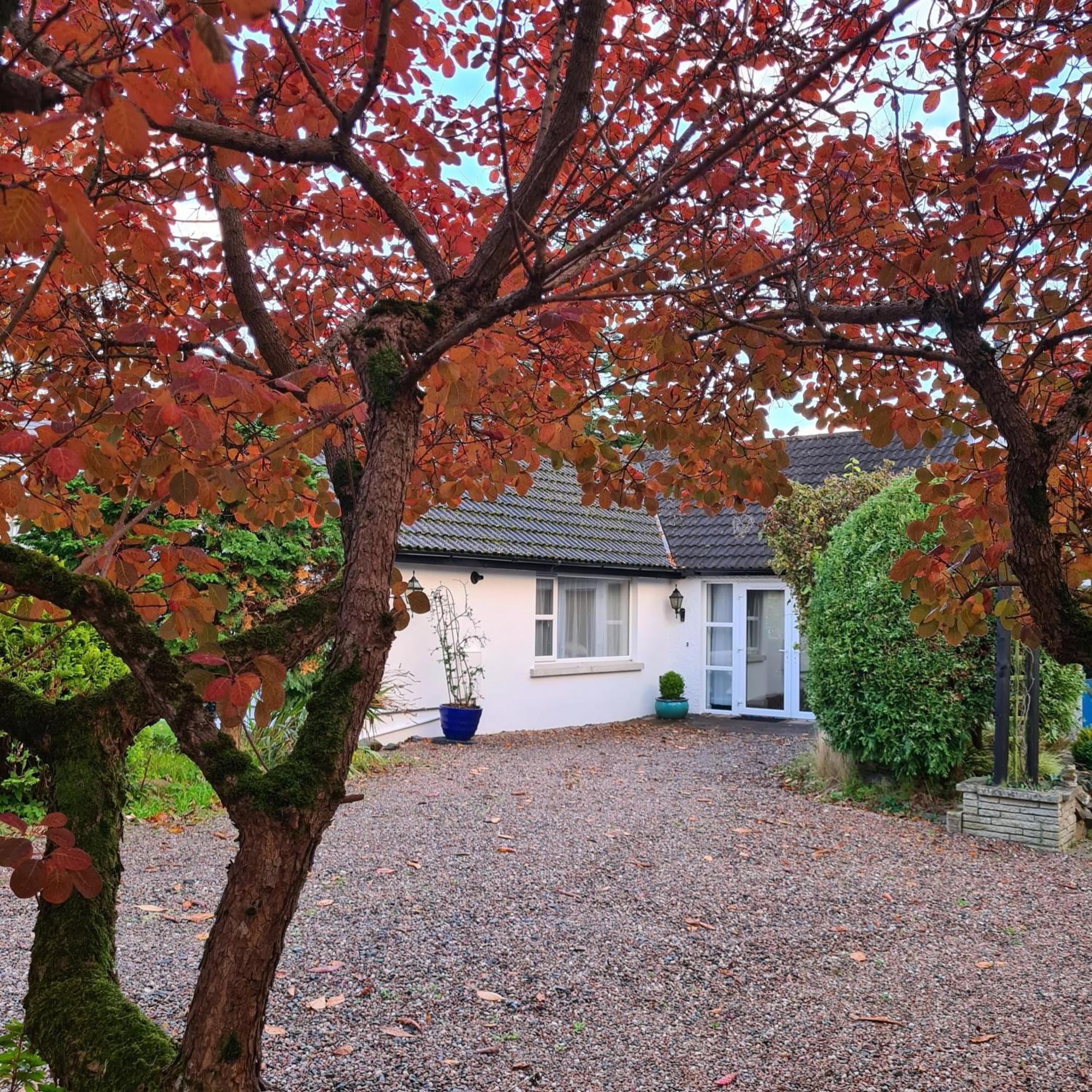 Nara Seaside Retreat Apartment Cultra Luaran gambar